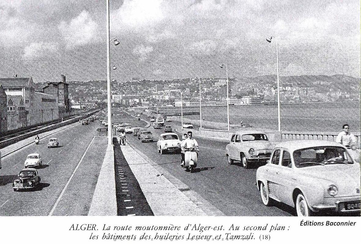 181- Alger - route moutonniere.jpg